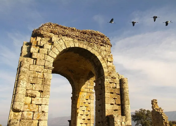 Apartment Rural La Bellosina *